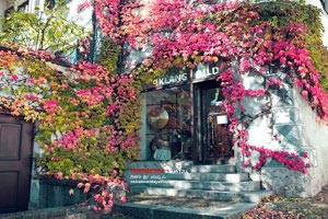 克罗地亚1-0击败斯洛文尼亚，出线希望大增