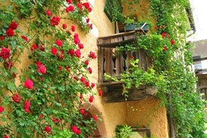 荷兰客场大胜爱尔兰队，取得胜利领先