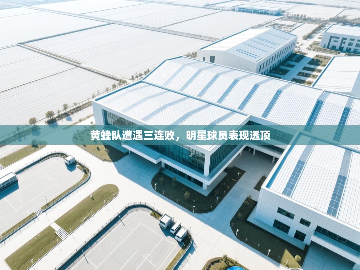 黄蜂队遭遇三连败,明星球员表现透顶 第1张