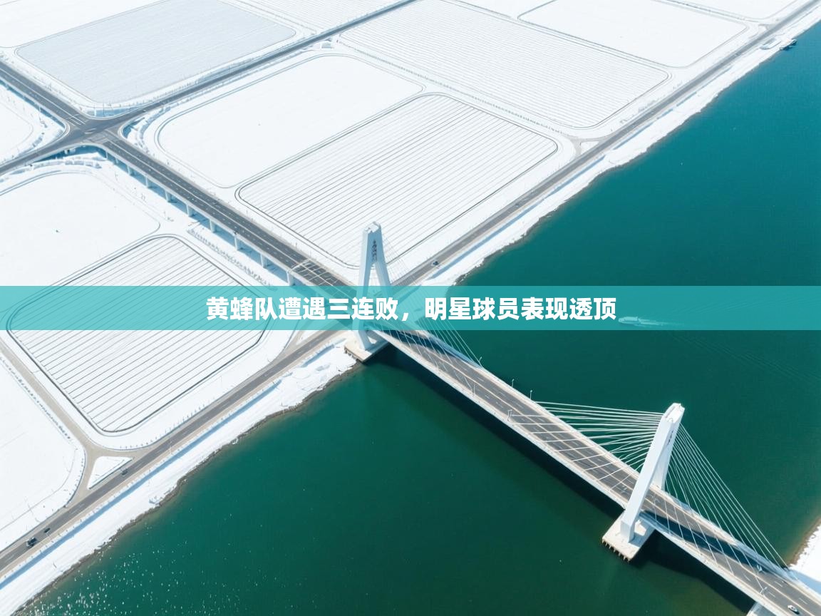 黄蜂队遭遇三连败,明星球员表现透顶 第2张